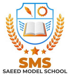 Saeed Model School